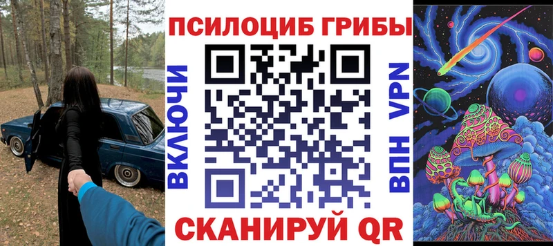 Купить  Менделеевск  Галлюциногенные грибы Psilocybe 